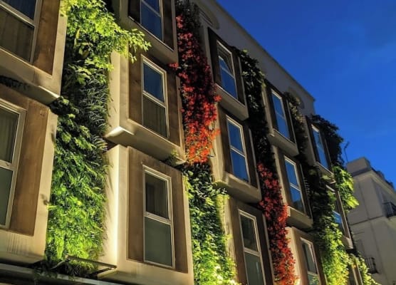 Mariposa Hotel Malaga 1
