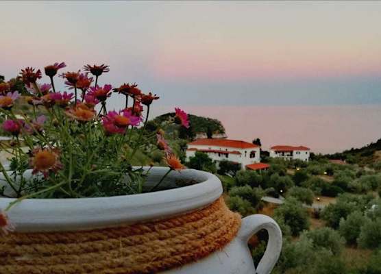 Hotel Ariadne 1