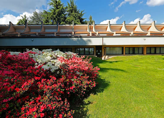 Hotel Pineta 1