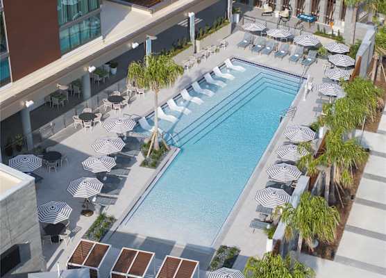 Hilton Jacksonville At Mayo Clinic 1
