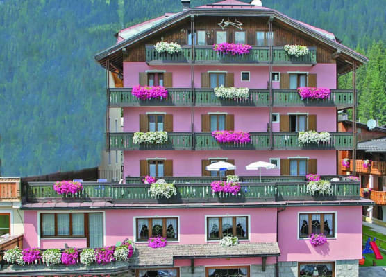 Alpen Hotel Vidi 1