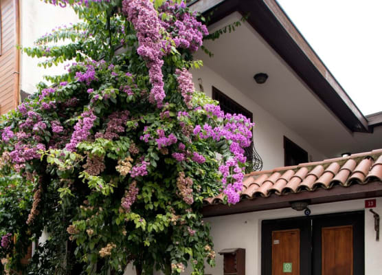 Villa Sphendone Suites Istanbul 1