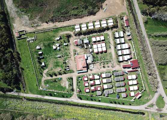 Camping Girasole 1