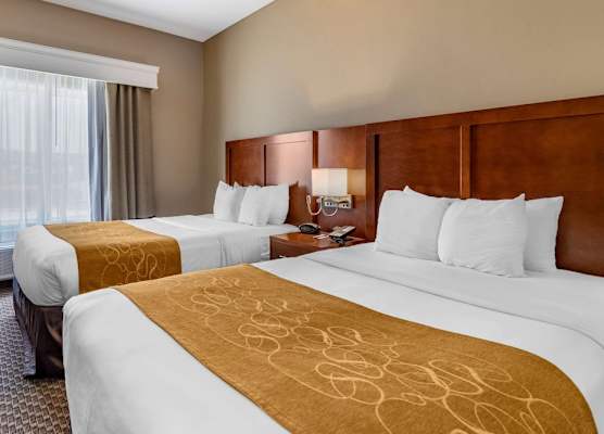 Comfort Suites Near Texas A&M - Corpus Christi 1