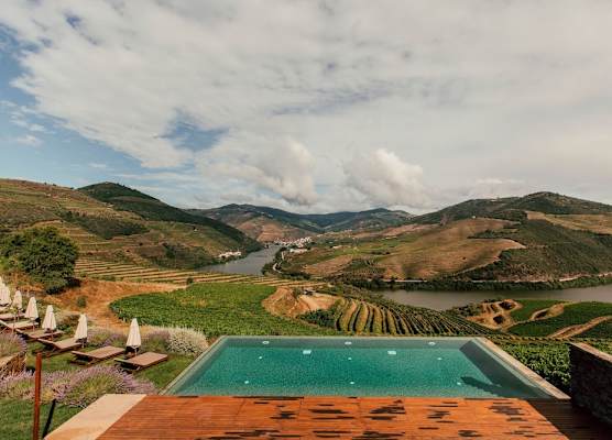 Ventozelo Hotel & Quinta 1