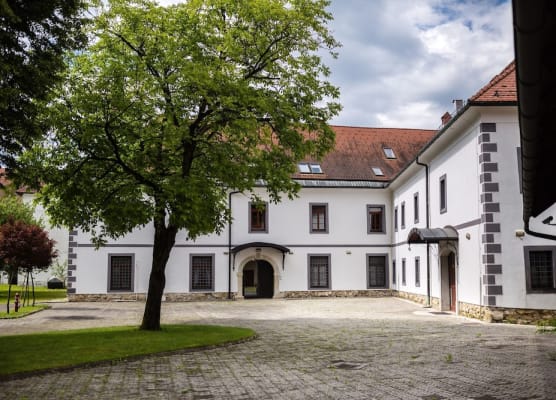 Hostel Javni Zavod Mekinjski Samostan 1