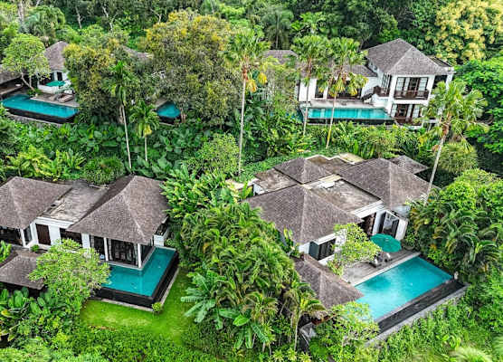 The Damai 1