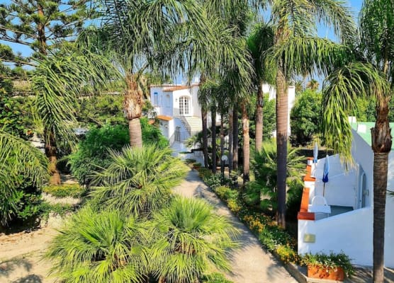 Cocos Park Ischia 1