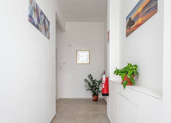 Suore Figlie di San Francesco di Sales 1