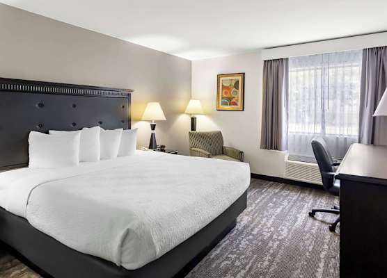 Best Western Saluki Inn 1
