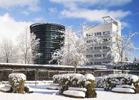 Parkhotel Hall in Tirol 1