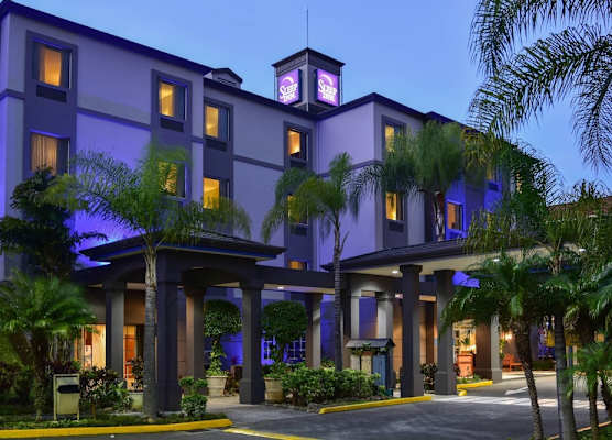Sleep Inn Paseo Las Damas 1