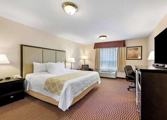 Best Western Of Olds 1