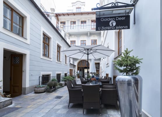 Hotel U Zlateho jelena 1