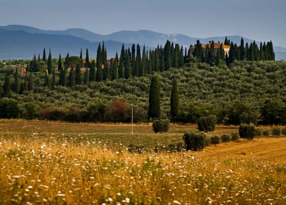 Tenuta di Poggio Cavallo 1