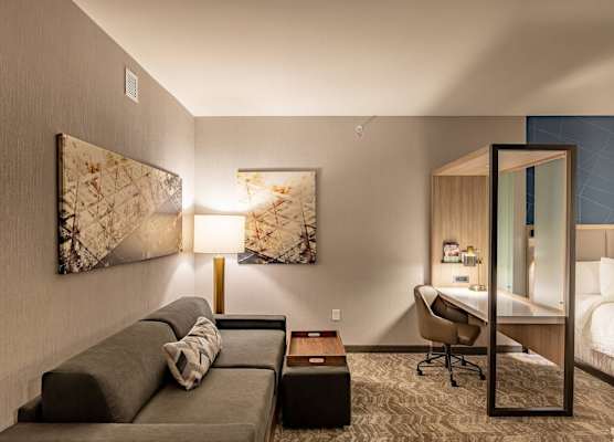 SpringHill Suites by Marriott Dallas McKinney 1