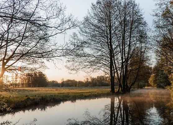 Waldhotel Eiche 1