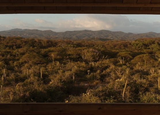 Terrestre, a Member of Design Hotels 1