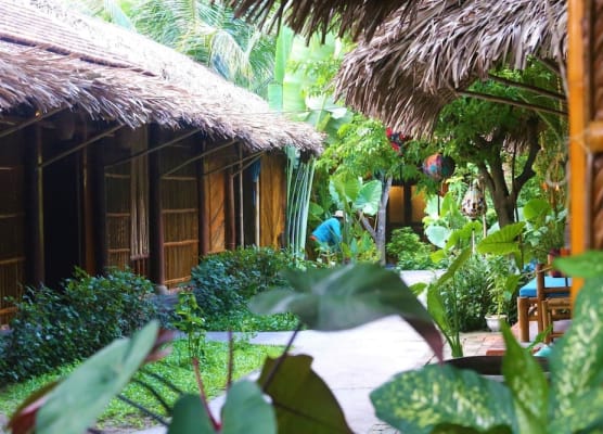 Under The Coconut Tree Hoi An 1