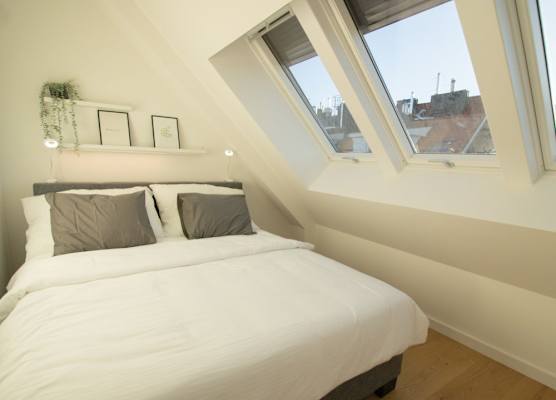Stylish & Modern Apartment 1