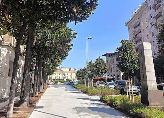 A Pisa con amore 1
