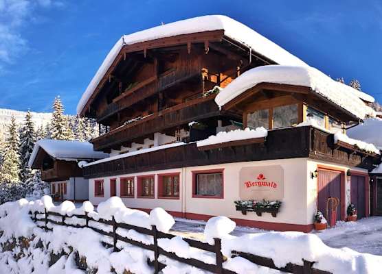 Bergwald Appartements Alpbach 1