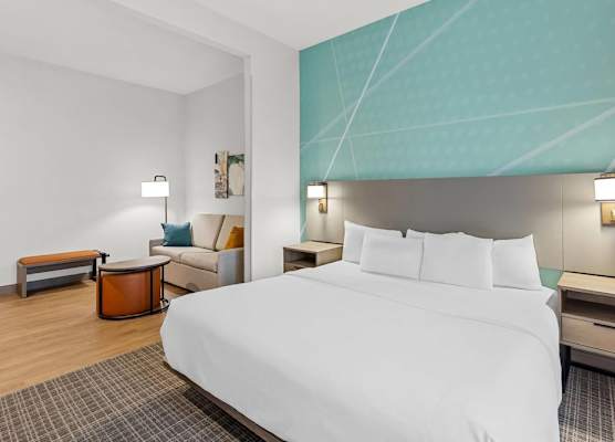 Comfort Suites Hotel and Conference Center 1