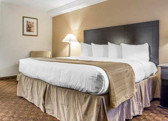 Quality Inn & Suites Coliseum 1