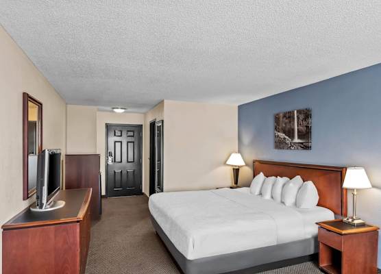 Rodeway Inn 1