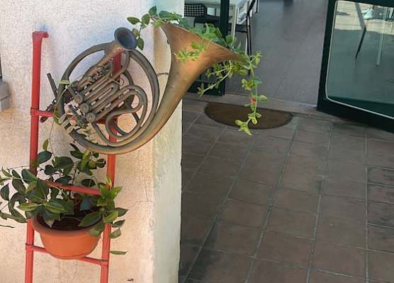 Bouganville Home Mondello 1