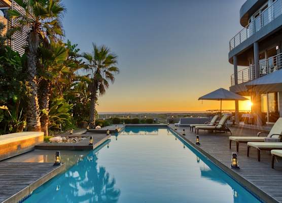 Atlantic Palms 1