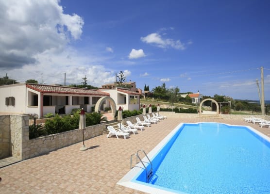 B&B Hibiscus 1