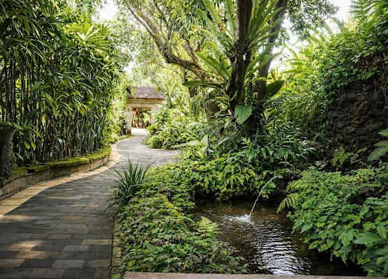 Yulia Village Inn Ubud 1