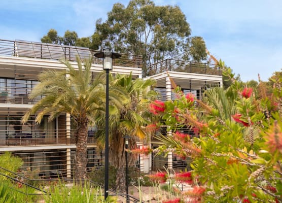 SOWELL Family Riviera 1