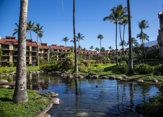 Kamaole Sands 8-402 1