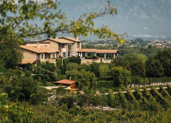 Tenuta Pezzapane 1