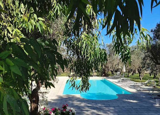 Tenuta Sidore 1