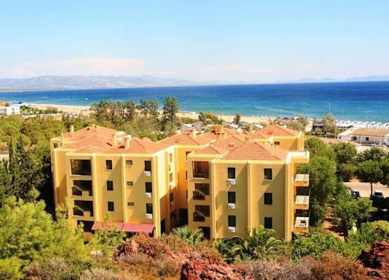 Palm Court Suites 1