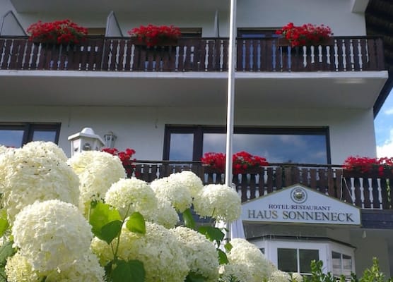 Sonneneck 1