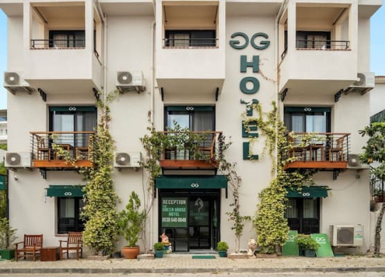The Green Goose Hotel 1