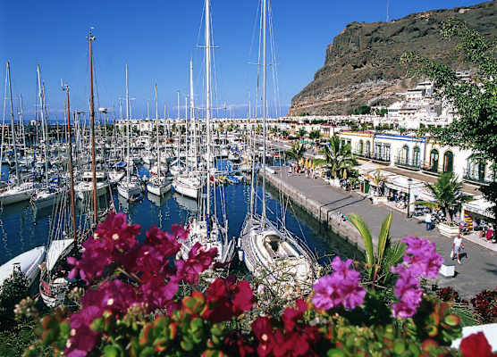 Cordial Muelle Viejo 1