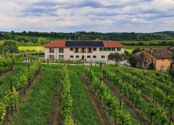 Tenuta Mani Sagge 1