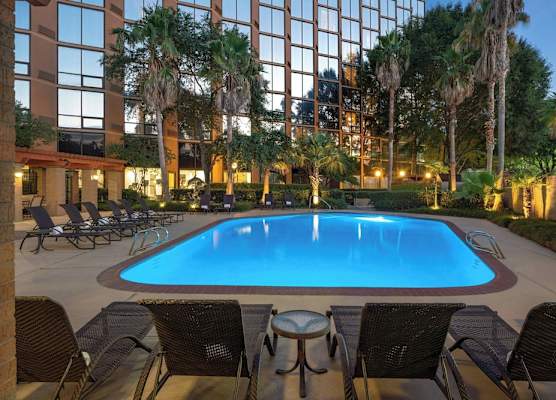 Sheraton Houston Brookhollow Hotel 1