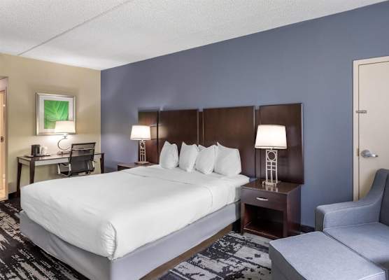 Best Western Owego Inn 1