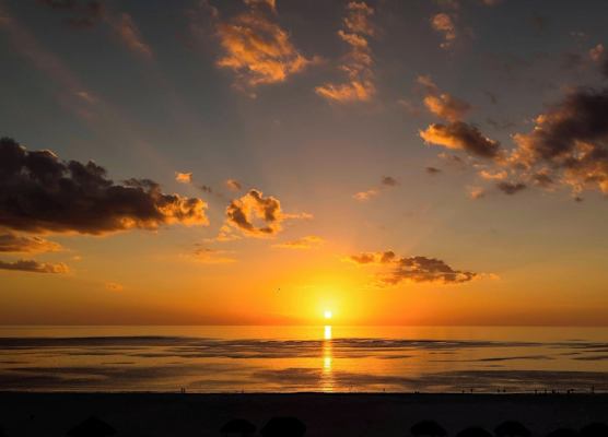 JW Marriott Marco Island Beach Resort 1