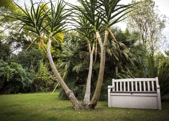 Sunbird Guest House 1