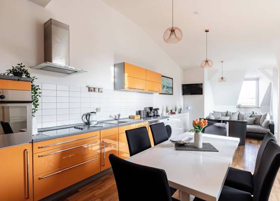 Loft Apartments 1