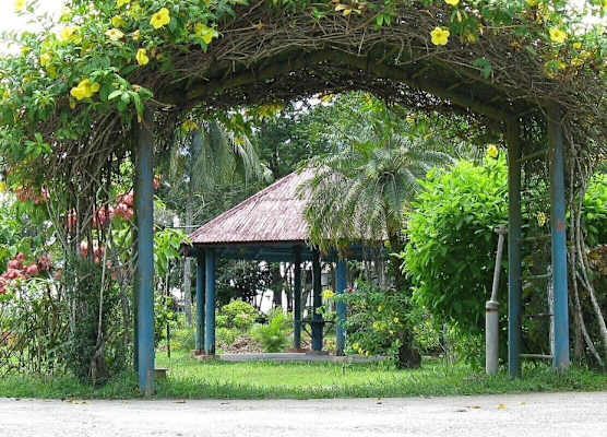 Peerless Resort Sri Vijaya Puram 1