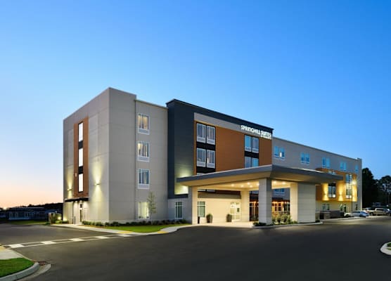 SpringHill Suites by Marriott Dothan 1