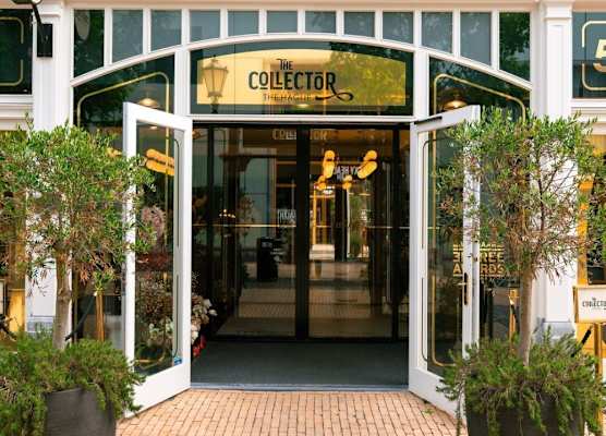 The Collector 1